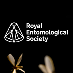 Organisation rebrand to modernise insect science