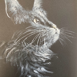 Light Source (Kinuyo Ogino)