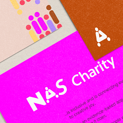 NAS Group Branding
