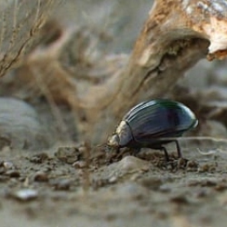 Earth Day 2024