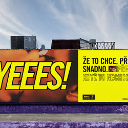 The Beauty of Consent for Amnesty International