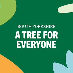 A Tree for Everyone
