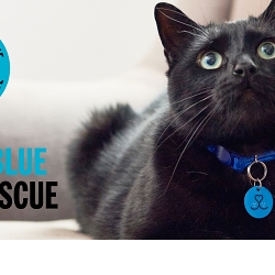 Wear Blue For Rescue