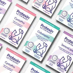 Positioning Protexin as leaders in biotics and gut health.