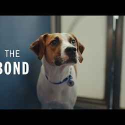 A Battersea Story - The Bond