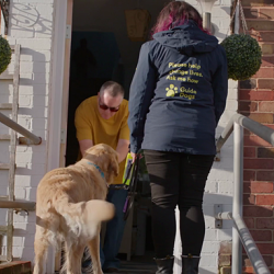 Guide Dogs