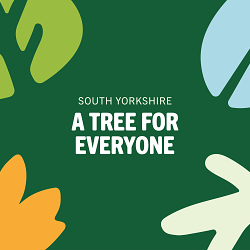 A Tree for Everyone