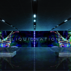 L i q u i d N a t i o n - Immersive Gallery