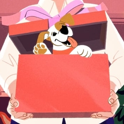 Pet is not a gift