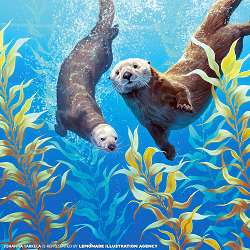 JOHANNA TARKELA / SEA OTTERS
