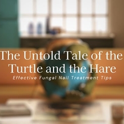 The Untold Tale of the Turtle and the Hare