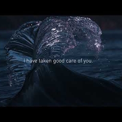 Film for the United Nations Ocean Conference 2022 for Oceano Azul Foundation