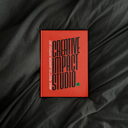 Channel Twelve - Brand Development