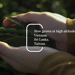 Gong cha - How Tea Is Meant To Be