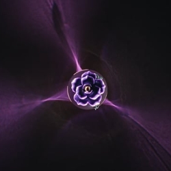 D&G - Holiday - Director's Cut