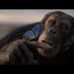 ROM Immortal: Nature's Symphony