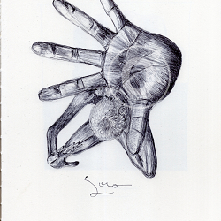 BALLPEN HANDS