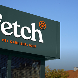 Fecth Pet Care Brand & Digital