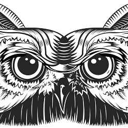 Black and white Illustrations