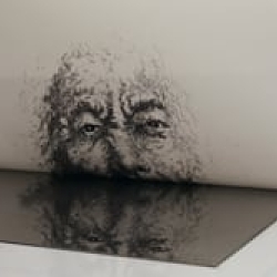 Toxic Portraits