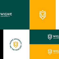 Wigwe University Brand Identity Design