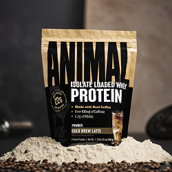 New Product Launch