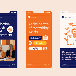 Queenbridge - Brand Illustrations