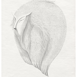 DANGINIAI | CREATURES OF THE SKY