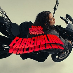 NINA CHUBA - Farbenblind & Waldbrand (Official Music Video - DC)