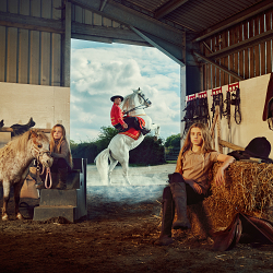 The Equestrian Dream