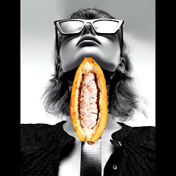 Collection: Digital Posters