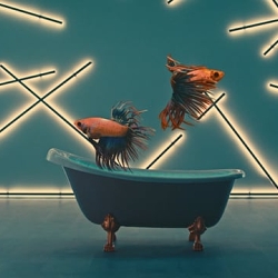 Decor_Park