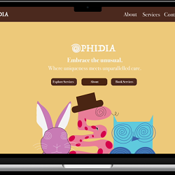 Brand Identity Brief