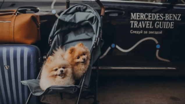 Mercedes-Benz Travel Guide Identity