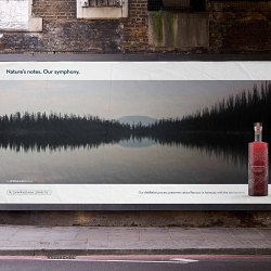 Natures Notes. Our Symphony