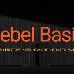 Rebel Basik