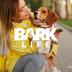 Creating a new identity for Bark Life