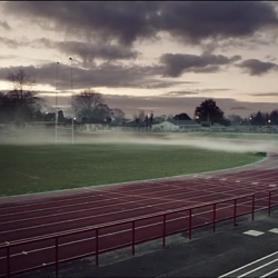 Sprint Or Flight?