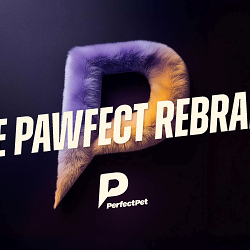 The Perfect Pet Insurance Rebrand