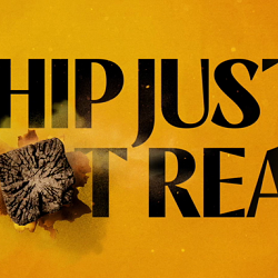 Ship just got real — PHD Campaign