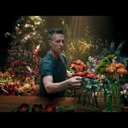 LEGO Botanicals
