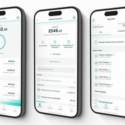 Cynergy Bank: The Human Digital Bank