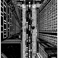 The City