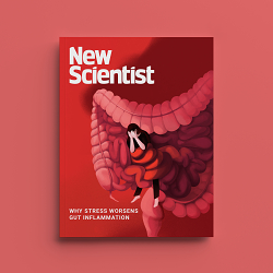 Why psychological stress worsens gut inflammation