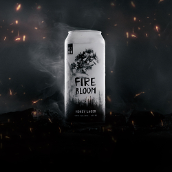 Fire Bloom