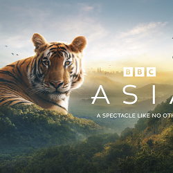 Asia Key Art