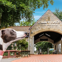 Making Clarks Village the top dog for outlet shopping