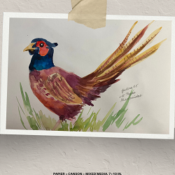 Watercolor oiseaux