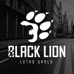 Black Lion: brand identity for a modern security firm