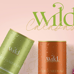 Wild Calabash: full brand identity & packaging design